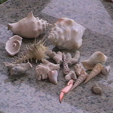 Celebrating Muhammad Ali– My “Twin” Brother